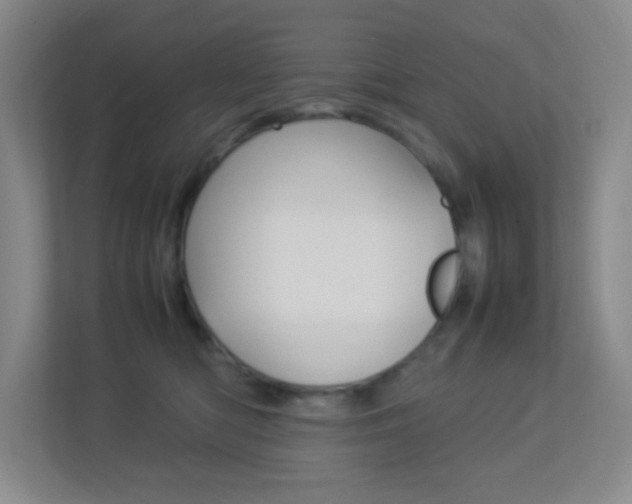 X0000113890422200909241146