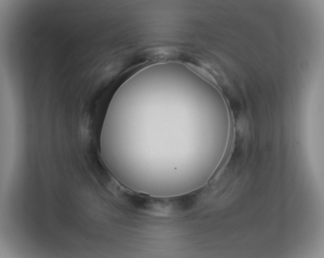 X0000113890423200909241146
