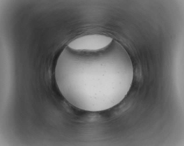 X0000113890424200909241146