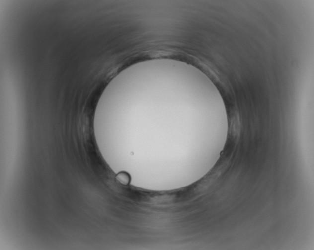 X0000113890426200909241146