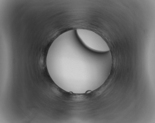 X0000113890428200909241146