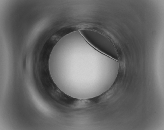 X0000113890429200909241146