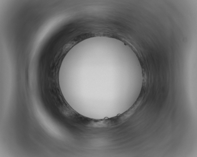X0000113890430200909241146