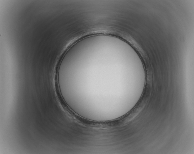 X0000113890434200909241145