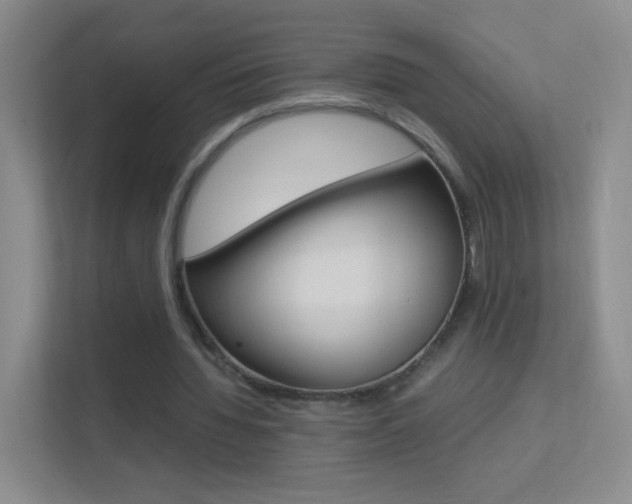 X0000113890436200909241145