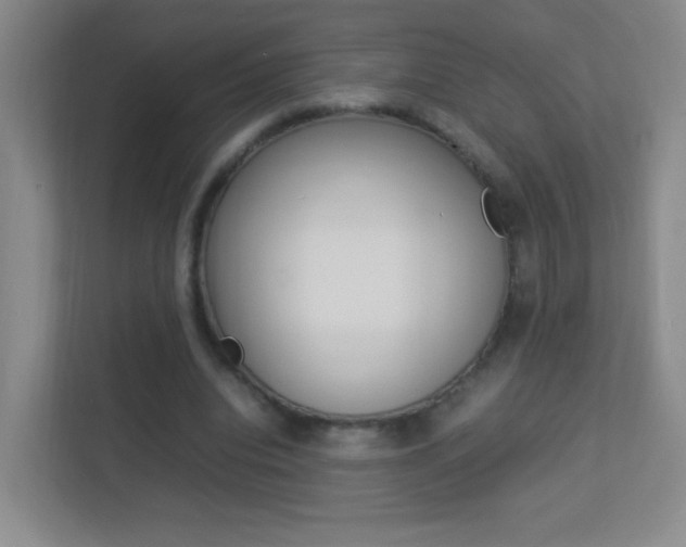 X0000113890440200909241145