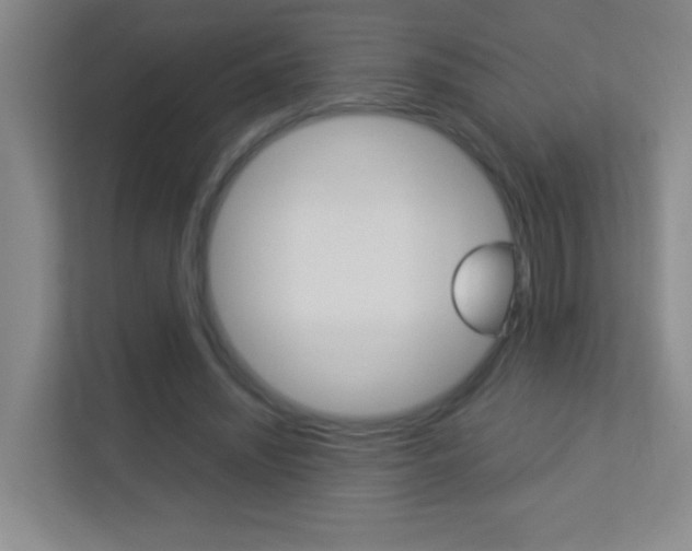 X0000113890444200909241145