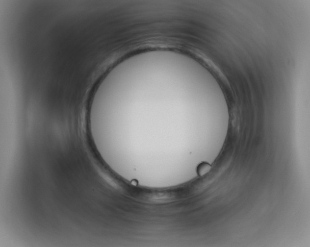 X0000113890445200909241145