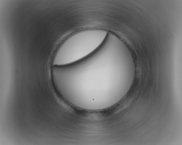 X0000113890446200909241145
