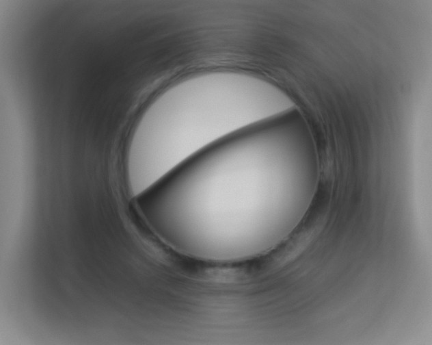 X0000113890448200909241145