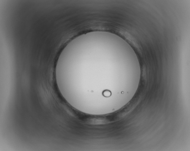X0000113890449200909241145