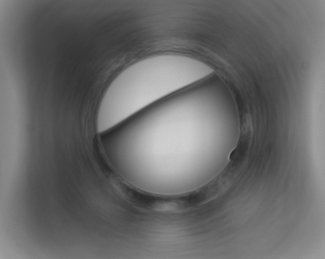 X0000113890452200909241145