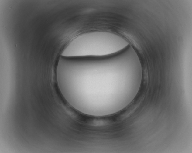 X0000113890453200909241145