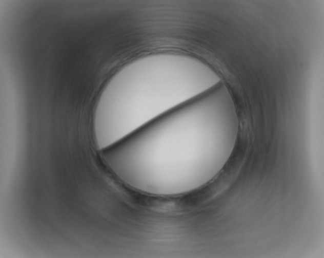 X0000113890454200909241145
