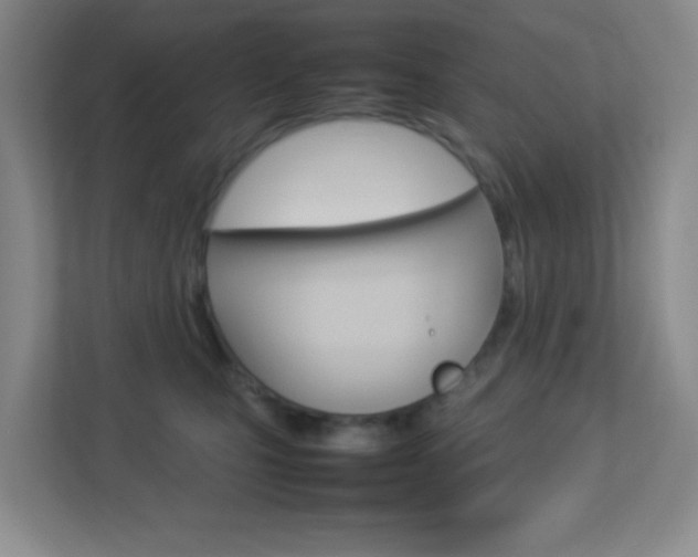 X0000113890471200909241146