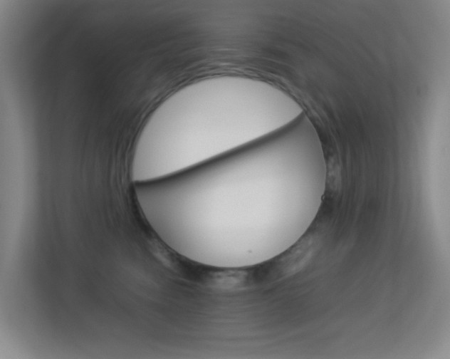 X0000113890474200909241146