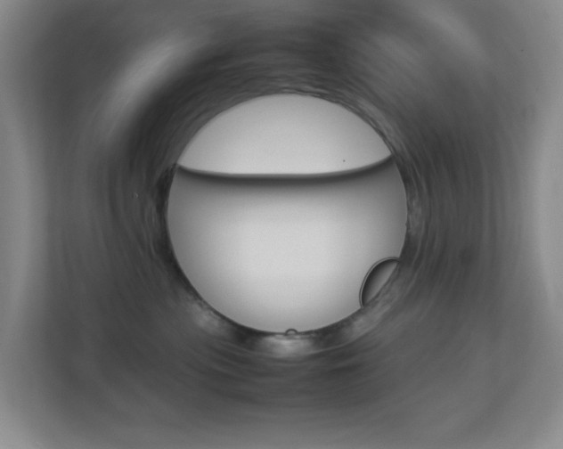 X0000113890477200909241146