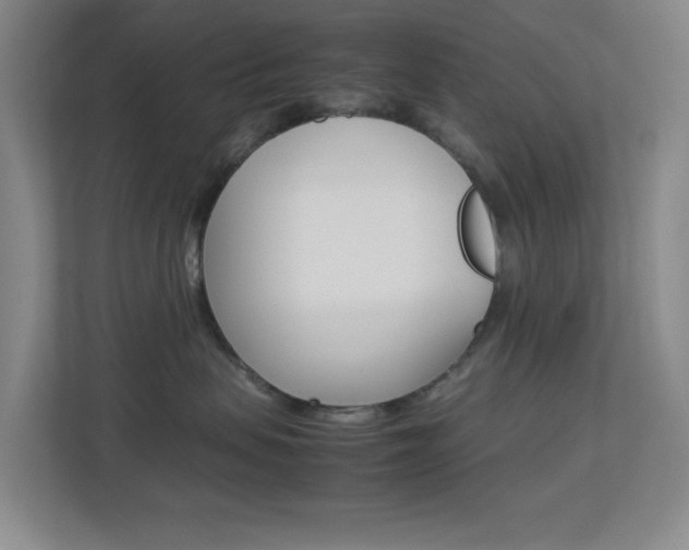 X0000113890479200909241146