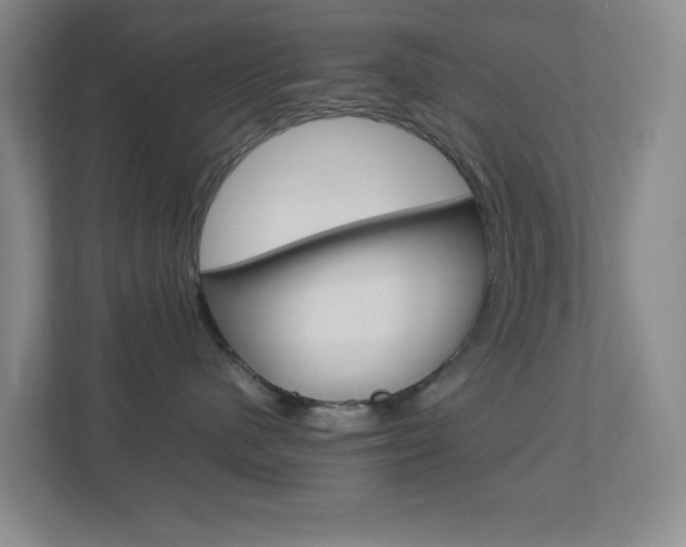 X0000113890480200909241146