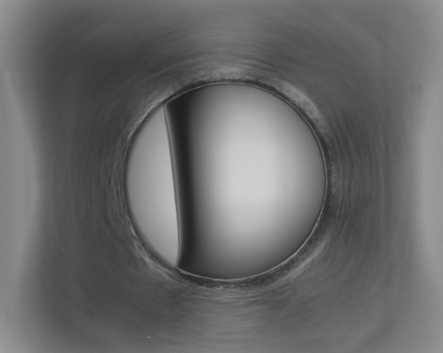 X0000113890481200909241145