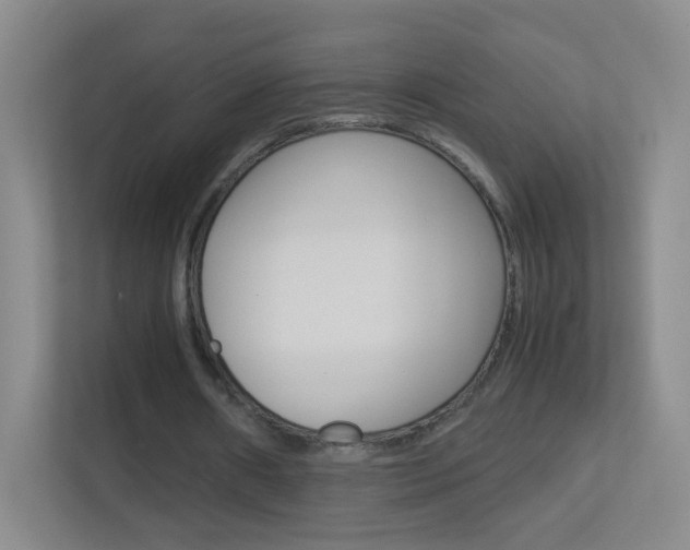 X0000113890482200909241145