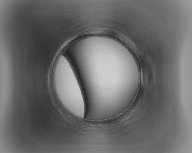 X0000113890483200909241145