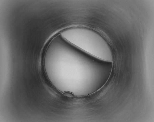 X0000113890484200909241145
