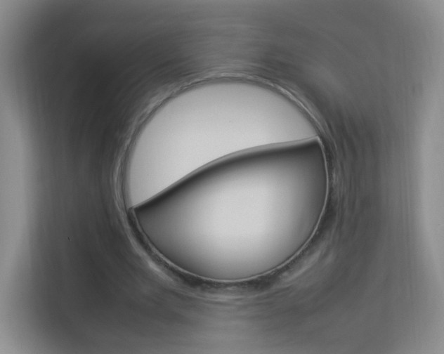 X0000113890485200909241145