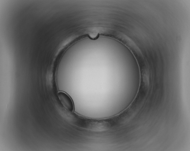 X0000113890488200909241145