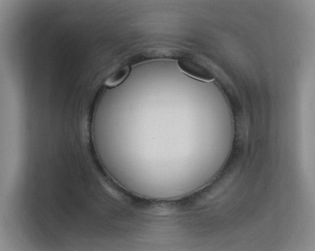 X0000113890489200909241145