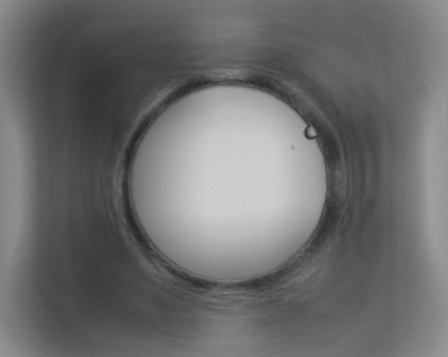 X0000113890491200909241145