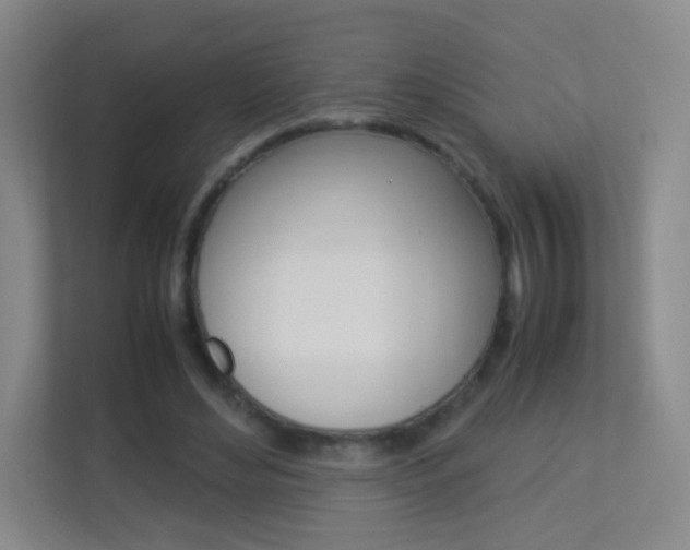 X0000113890492200909241145