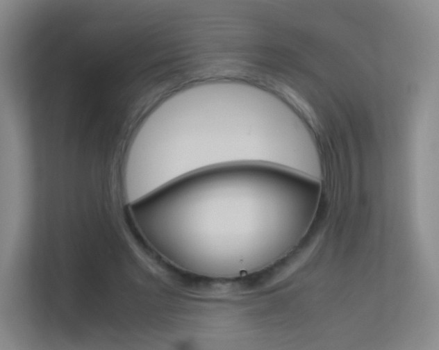 X0000113890493200909241145