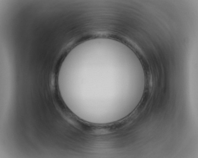 X0000113890494200909241145