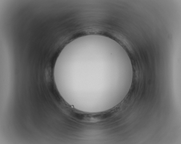 X0000113890498200909241145