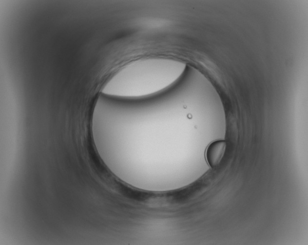 X0000113890499200909241145