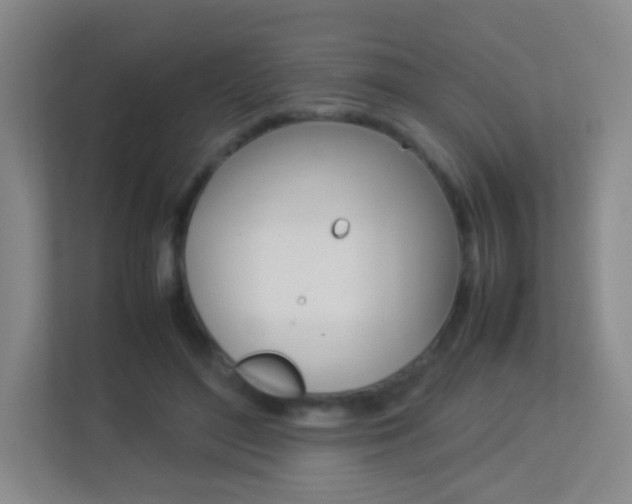 X0000113890500200909241145