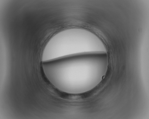 X0000113890501200909241145