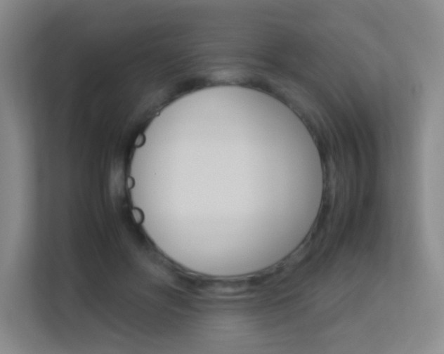 X0000113890502200909241145