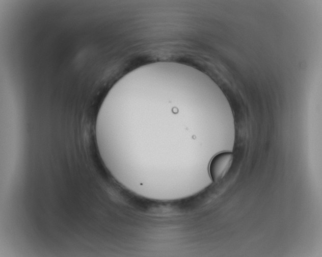 X0000113890503200909241145