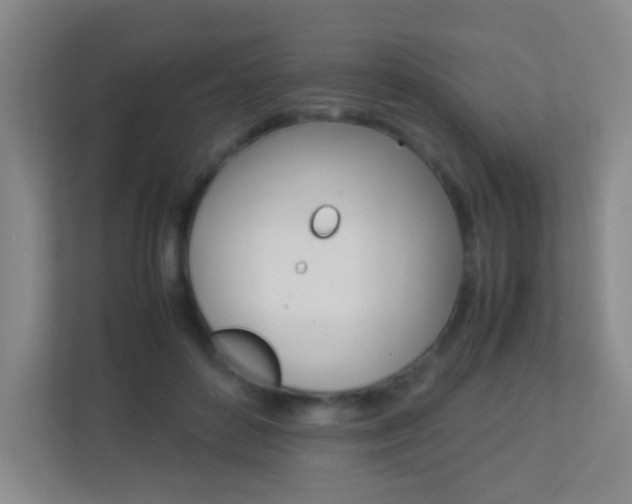 X0000113890504200909241145