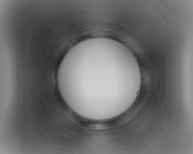X0000113890506200909241145