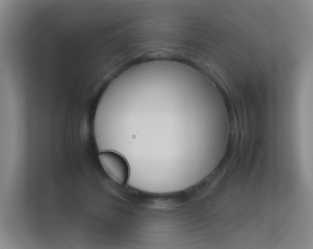 X0000113890508200909241145