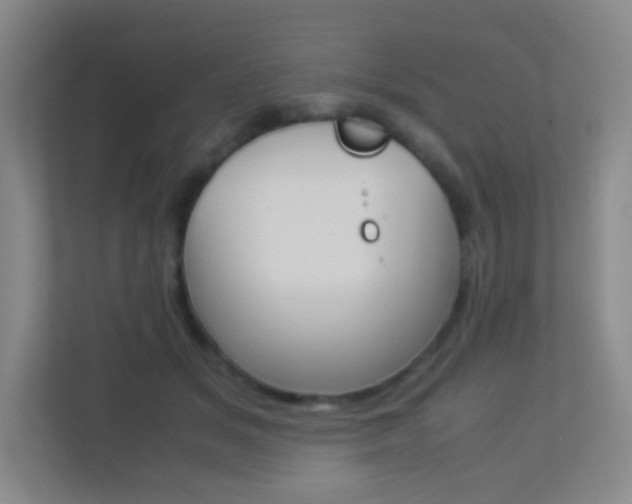 X0000113890509200909241145