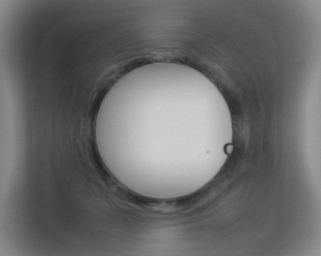 X0000113890511200909241145
