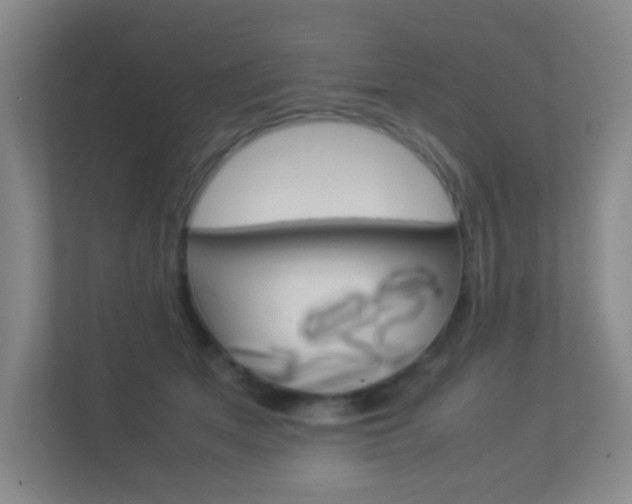 X0000113890513200909241145