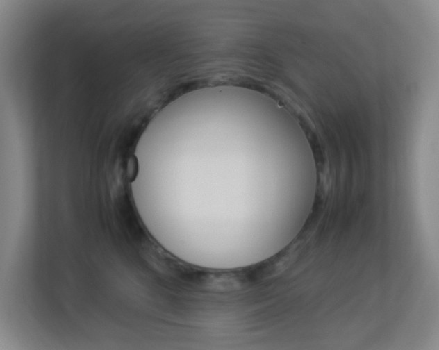 X0000113890520200909241145