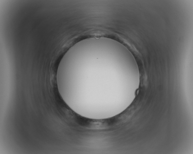 X0000113890521200909241145
