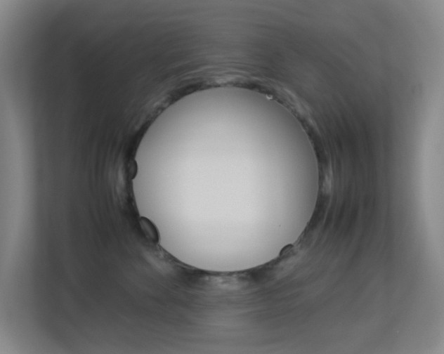 X0000113890524200909241145