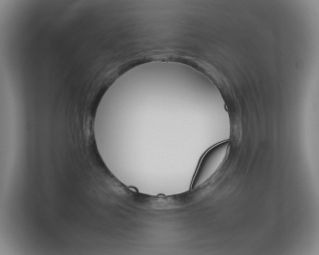 X0000113890525200909241145